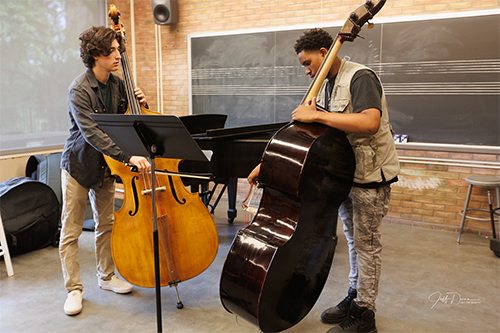 Photo of Young Bassists